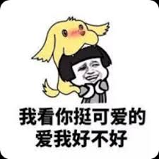nonton bola di android tv poker 9 Yeouido 'burung' menjadi 'anjing'? rabies? Boshintang? kasino bwin online